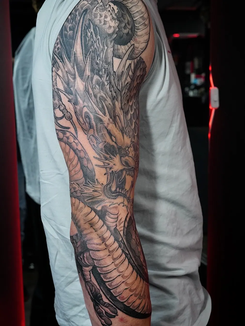 Dragon sleeve